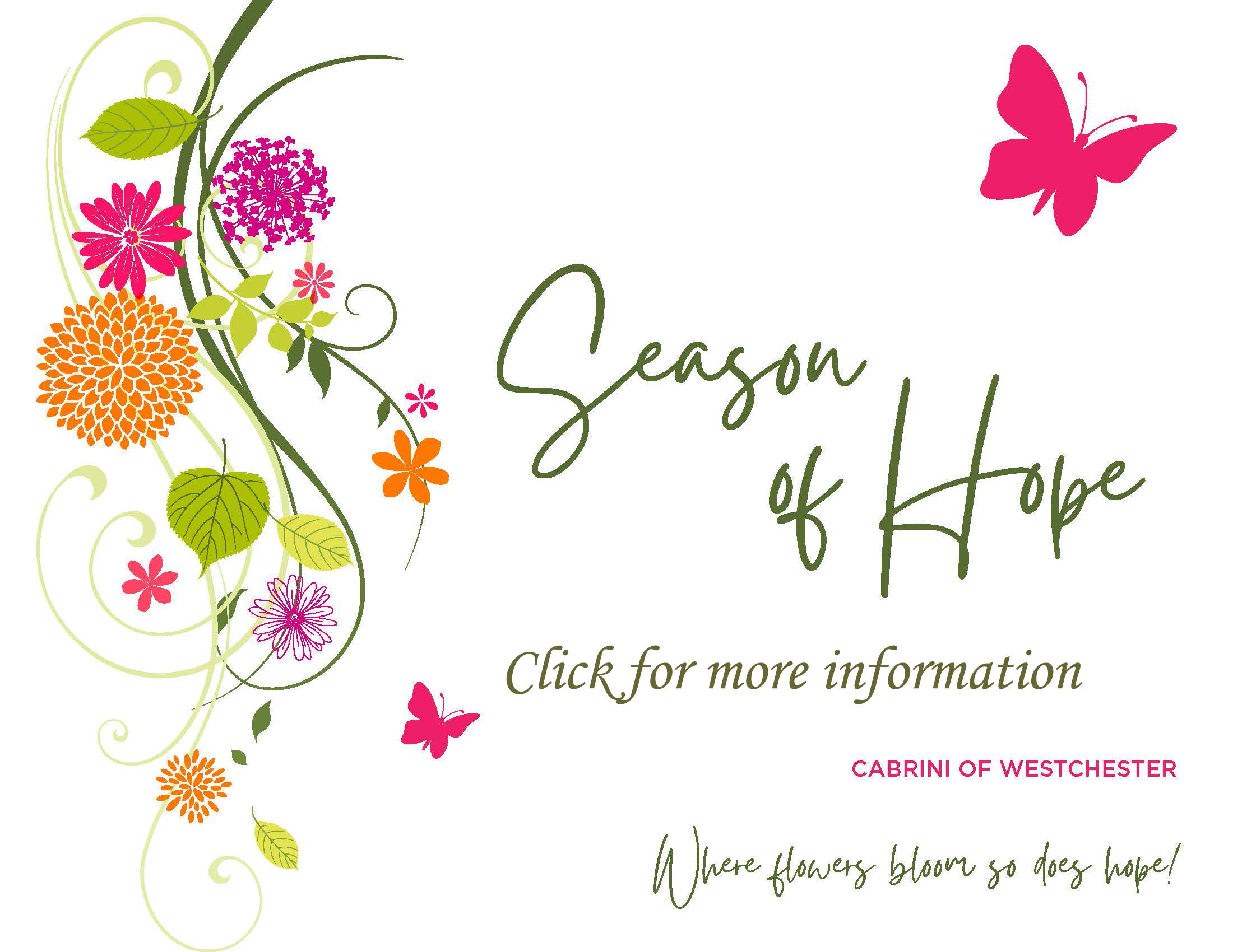 Season of Hope Homepage